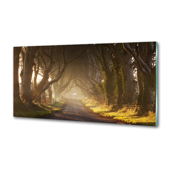 Panel dekor szkło Mgła w lesie