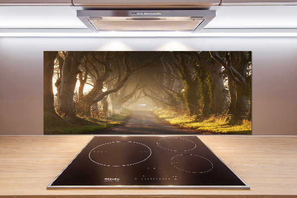 Panel dekor szkło Mgła w lesie