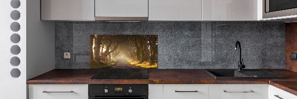 Glazen achterwand keuken Mist in het bos
