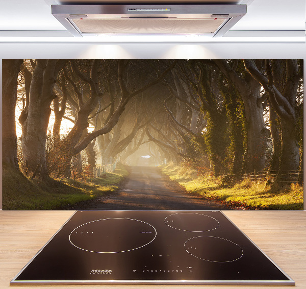Glazen achterwand keuken Mist in het bos