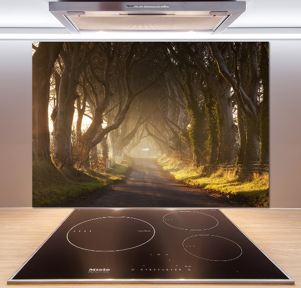 Glazen achterwand keuken Mist in het bos