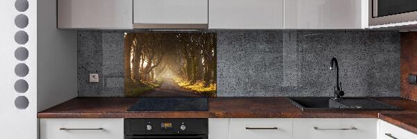 Glazen achterwand keuken Mist in het bos