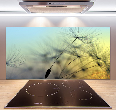 Spatplaat keuken Paardenbloemzaden