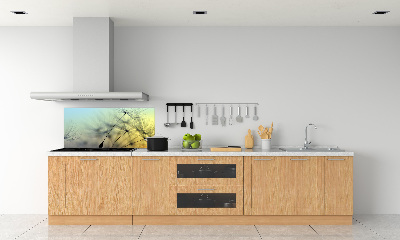 Spatplaat keuken Paardenbloemzaden