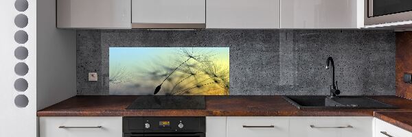 Spatplaat keuken Paardenbloemzaden