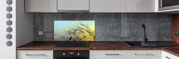 Spatplaat keuken Paardenbloemzaden