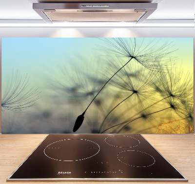 Spatplaat keuken Paardenbloemzaden
