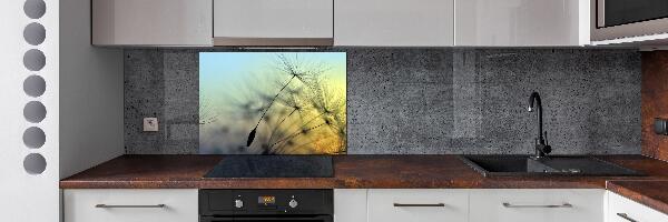 Spatplaat keuken Paardenbloemzaden