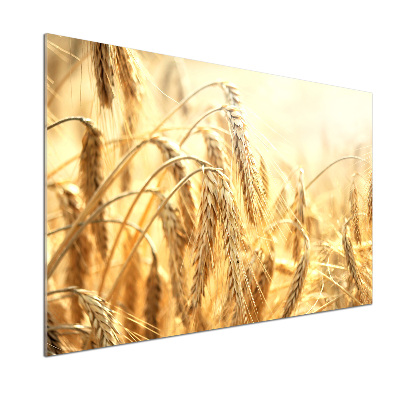 Panel szklany do kuchni Zboże