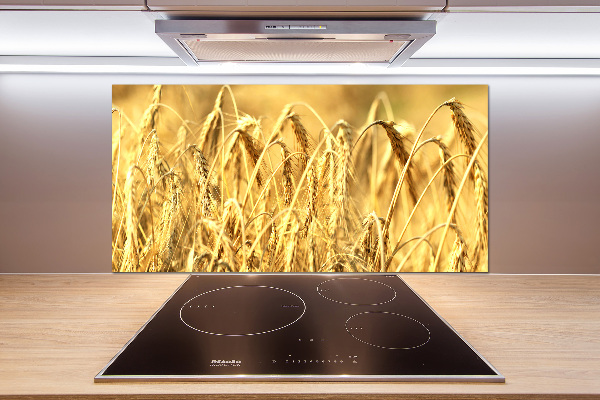 Glazen achterwand keuken Graan