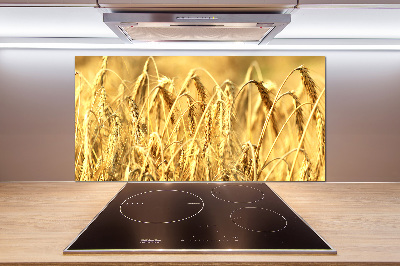 Glazen achterwand keuken Graan