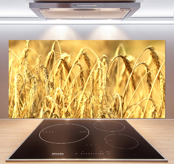 Glazen achterwand keuken Graan