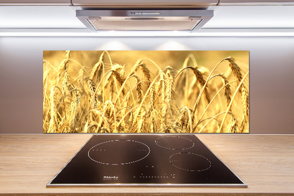 Glazen achterwand keuken Graan