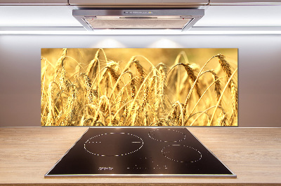 Glazen achterwand keuken Graan