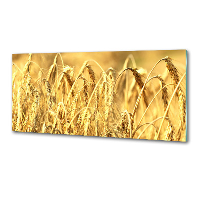 Panel szklany do kuchni Zboże