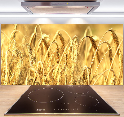 Glazen achterwand keuken Graan