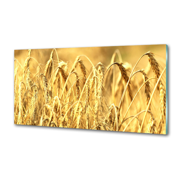 Panel szklany do kuchni Zboże