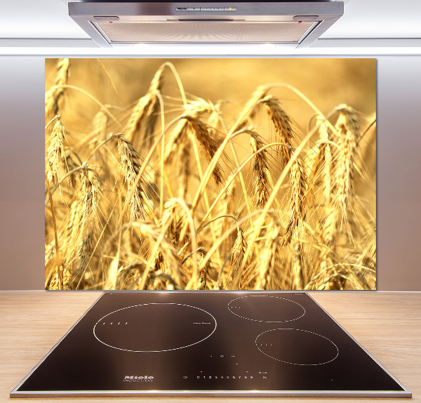Glazen achterwand keuken Graan