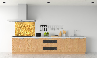 Glazen achterwand keuken Graan