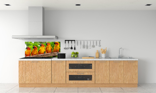 Achterwand keuken Papegaaien op een tak