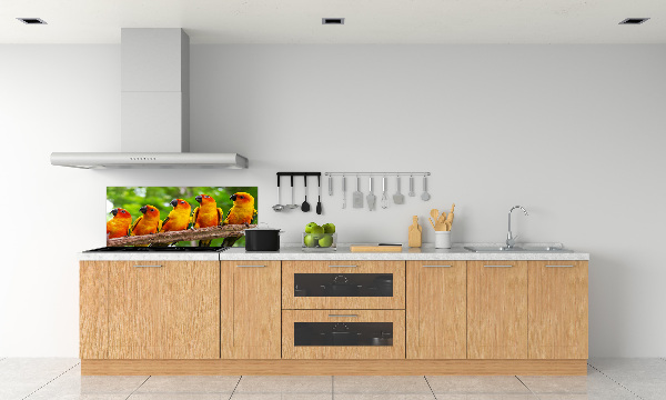 Achterwand keuken Papegaaien op een tak