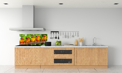 Achterwand keuken Papegaaien op een tak