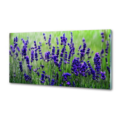 Spatscherm keuken Lavendel