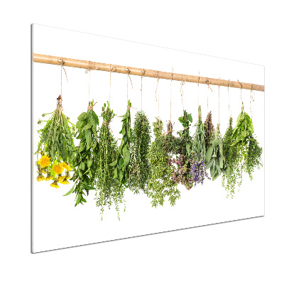 Glazen achterwand keuken Kruiden aan een touwtje