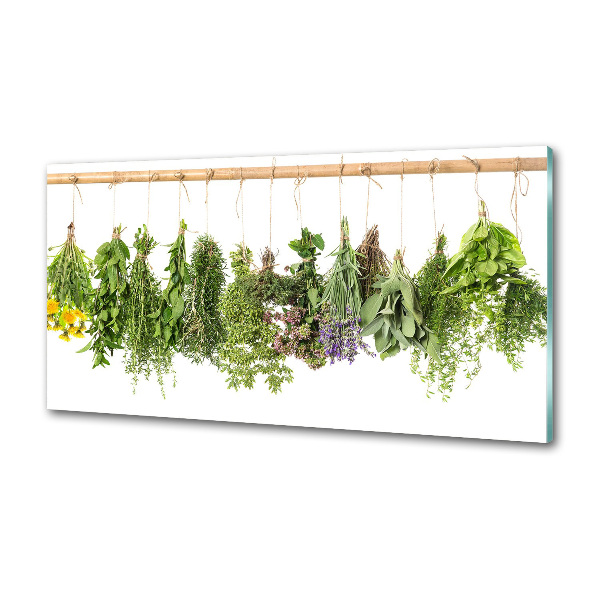 Glazen achterwand keuken Kruiden aan een touwtje