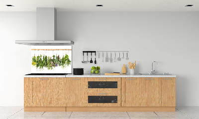 Glazen achterwand keuken Kruiden aan een touwtje