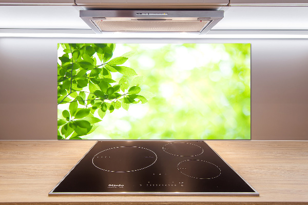 Spatplaat keuken Bladeren