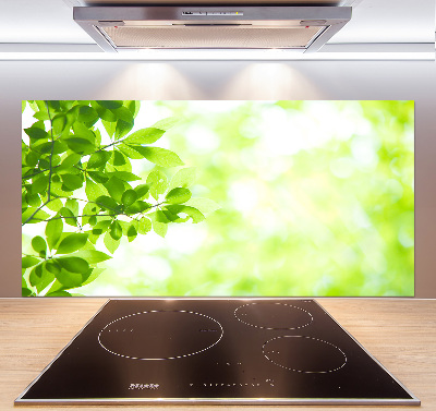 Spatplaat keuken Bladeren