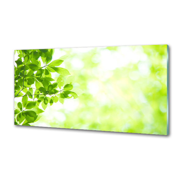 Panel szklany do kuchni Liście