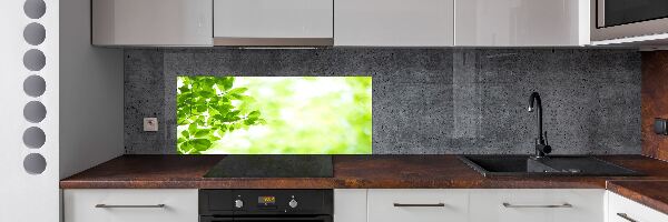 Spatplaat keuken Bladeren