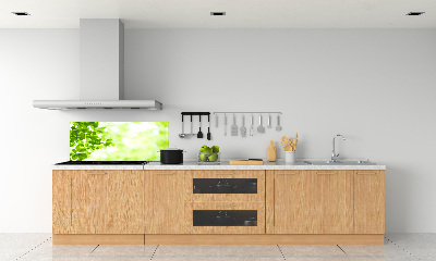 Spatplaat keuken Bladeren