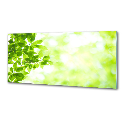 Panel szklany do kuchni Liście