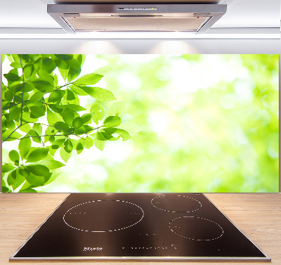 Spatplaat keuken Bladeren