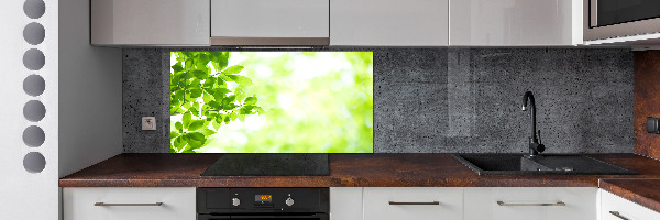 Spatplaat keuken Bladeren