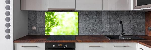 Spatplaat keuken Bladeren