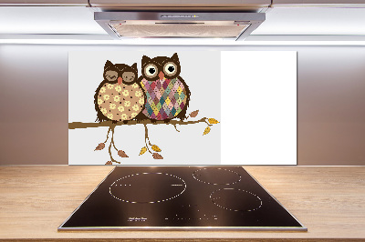 Spatplaat keuken Twee uilen op een tak