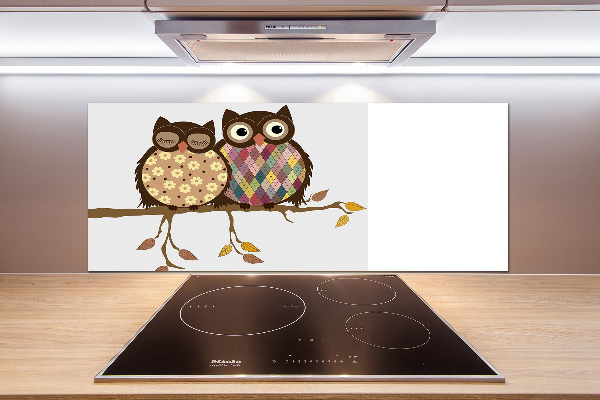Spatplaat keuken Twee uilen op een tak
