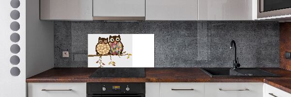 Spatplaat keuken Twee uilen op een tak