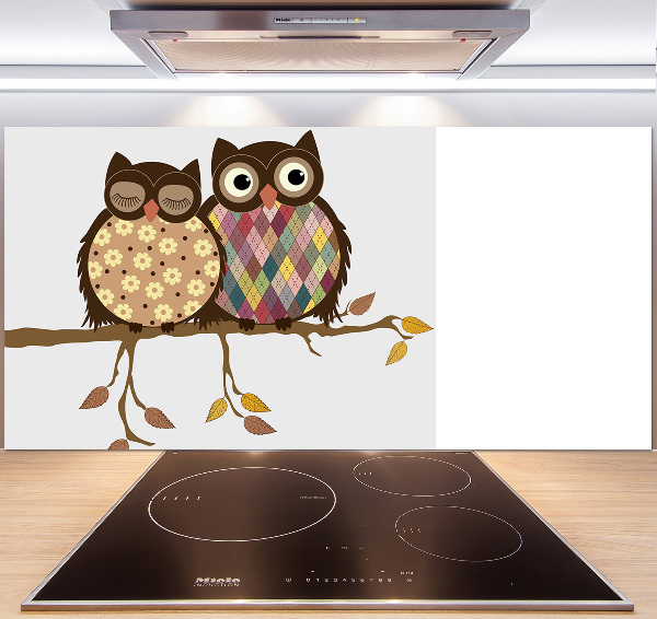 Panel lacobel Dwie sowy na gałęzi