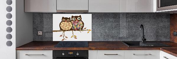 Spatplaat keuken Twee uilen op een tak