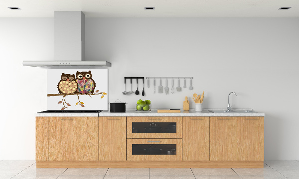 Spatplaat keuken Twee uilen op een tak