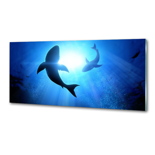 Panel dekor szkło Dwa rekiny