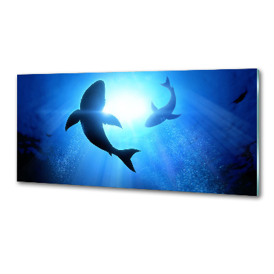 Panel dekor szkło Dwa rekiny