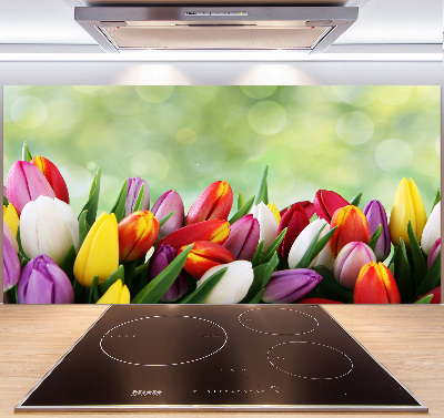 Glazen achterwand keuken Kleurrijke tulpen