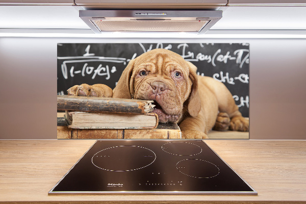 Glazen achterwand keuken De hond bijt in het boek.