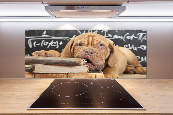 Glazen achterwand keuken De hond bijt in het boek.
